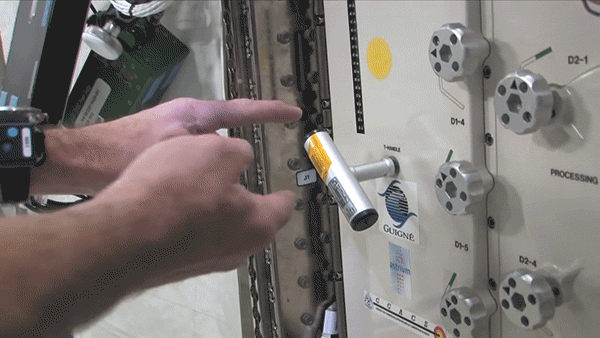 Dzhanibekov Effect in Space